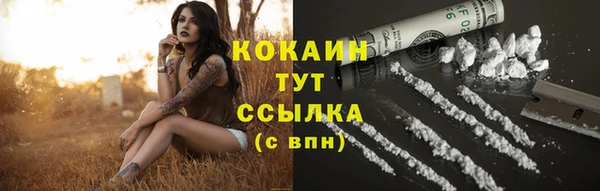 шишки Абинск