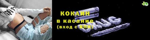 ПСИЛОЦИБИНОВЫЕ ГРИБЫ Аркадак