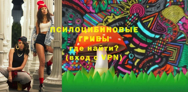 герыч Арсеньев