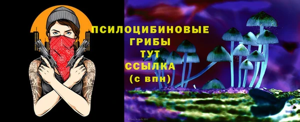 стафф Армянск