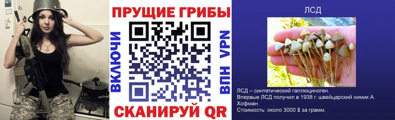 Галлюциногенные грибы MAGIC MUSHROOMS  цены   Нефтекамск 