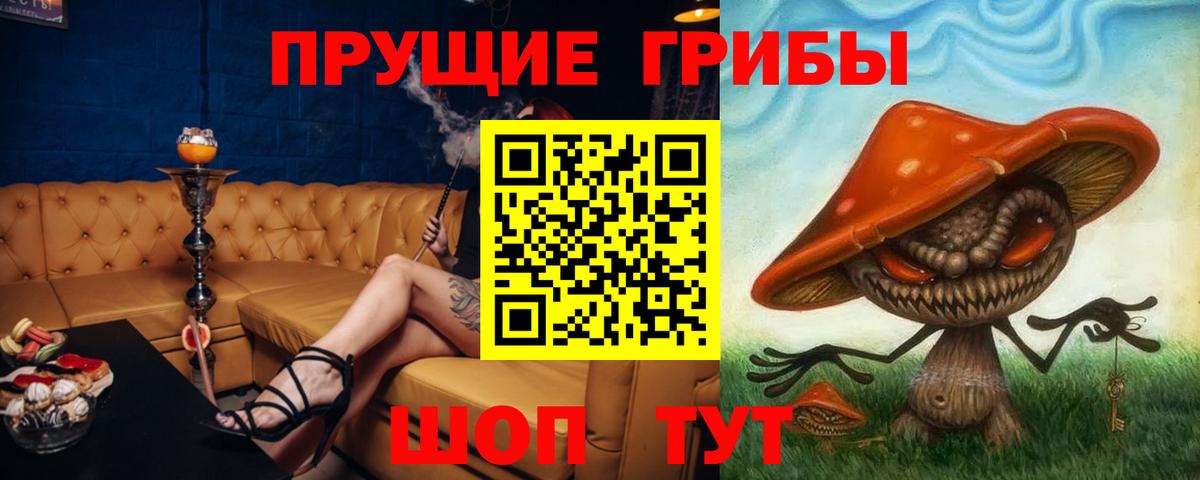 Галлюциногенные грибы Psilocybe Нефтекамск